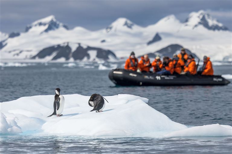 XXL-Seereise zu exotischen Inseln im Südatlantik ©Andrew Peacock/adobestock